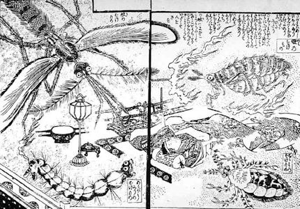顕微鏡が江戸の流行を生む～『雪華図説』～ | 斑猫軒雑録